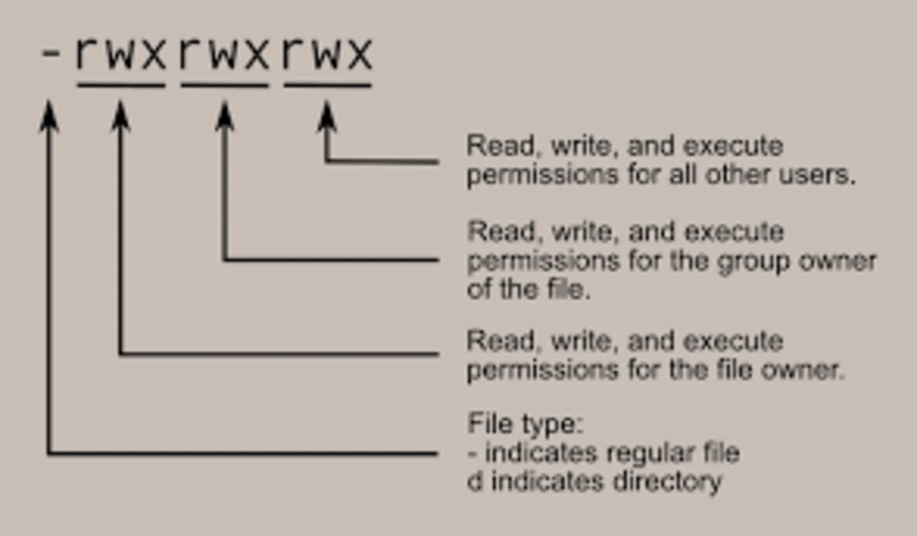 Ubuntu 20.04 – Massive change of permissions and users to folders and files separately